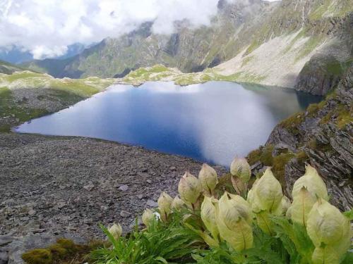 Bharadsar_Lake