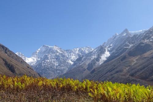 valley-of-flowers